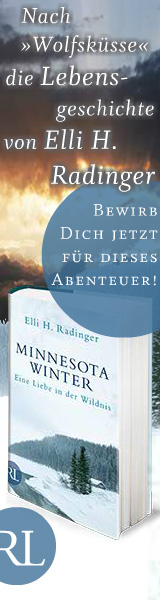 Skyscraper-Banner 'Minnesota Winter' von Elli H. Radinger (rütten & loening)